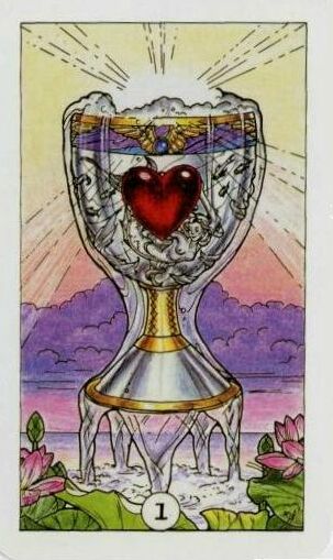 Ace of cups