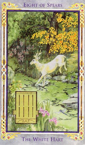 Tarot for Today - 8 of Wands - Monday, May 11, 2020 - Tarot by Lady Dyanna