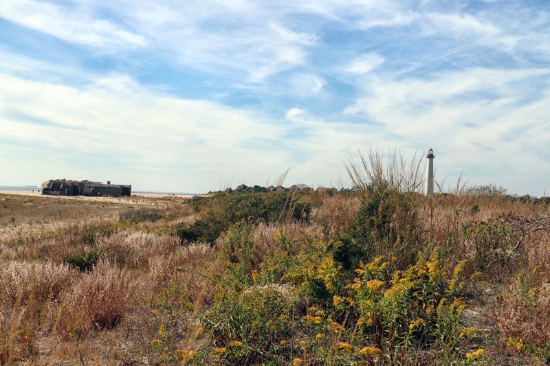 Cape May Point State Park — National Parks With T